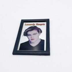 Miroir Leonardo Di Caprio