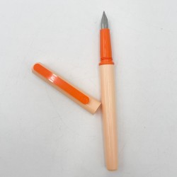 Stylo plume Waterman neuf années 80 rose ou pêche au choix