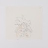 Celluloïd / Animation Cel - Dragon Ball (San Goku) - 1984